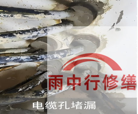 安徽电缆线空洞堵漏加固案例