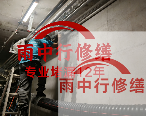 安徽电缆线空洞堵漏加固案例